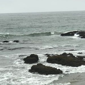 Meet your Posher, Ingrid